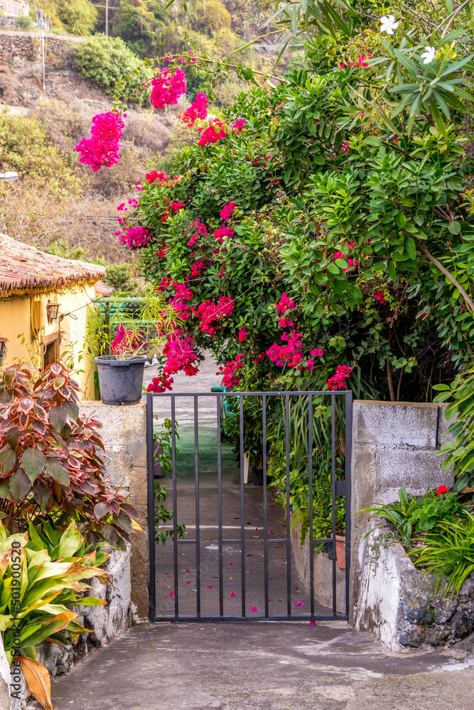 Nice vacation view of a little gate to a Spanish house with exotic bougainvillea flowers among. Pretty summer postcard image of a typical Mediterranean or Canarian village.