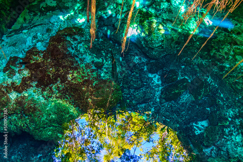 Fotografia, Obraz Blue turquoise water limestone cave sinkhole cenote Tajma ha Mexico