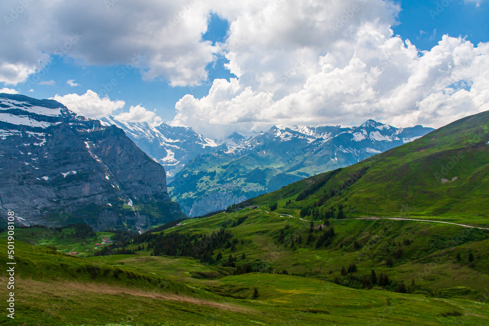 View of snow in the mountain with green grass in summer on a sunny day in switzerland, grinelward