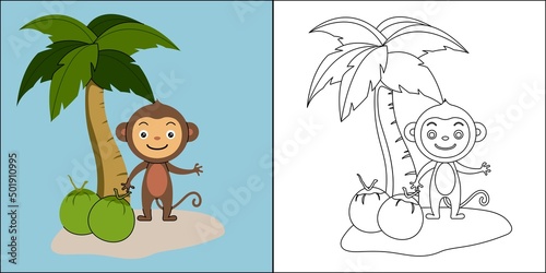 Cute monkey with coconut suitable for children s coloring page vector illustration