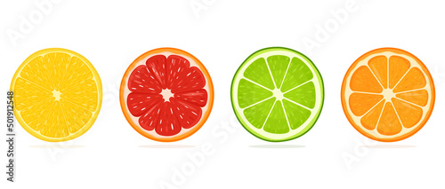 Fotografiet Set of juicy citrus slices