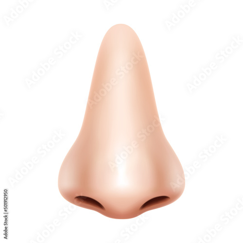 Human Nose front view. Realistic Background Isolated Design Vector 3d Illustration