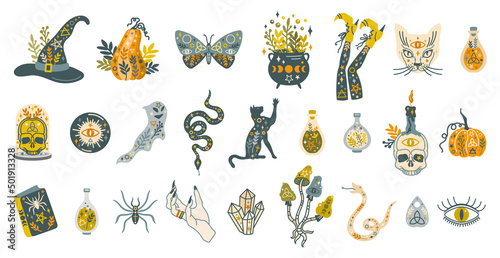 Halloween mystical illustration set