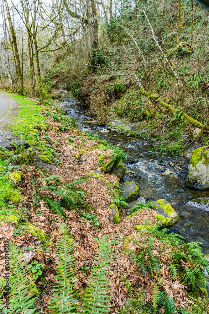 Rocky Des Moines Creek 11