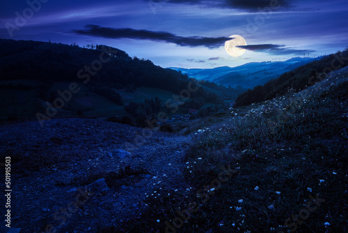 mountainous countryside landscape at night. rural fields on the hills. village in the distant valley. gorgeous sky with clouds glowing in full moon light © Pellinni