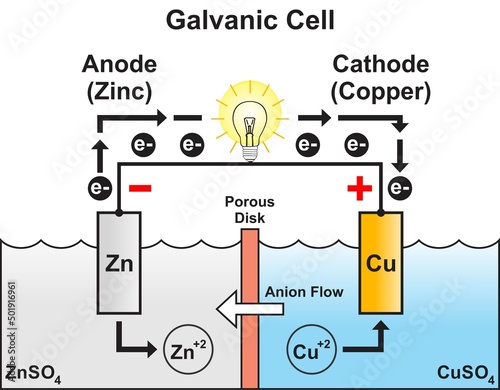 Galvanic voltaic cell infographic diagram battery part structure including zinc anode copper cathode anion flow direction light bulb vector electric current circuit physics chemistry science education photo