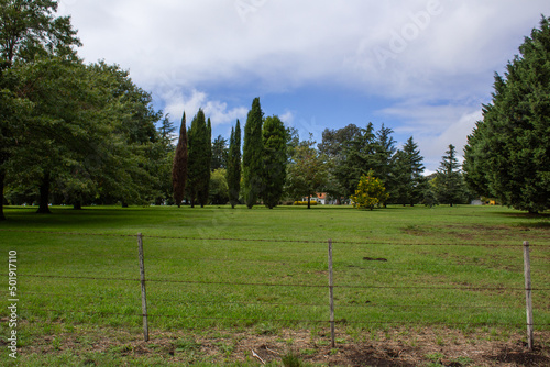 Campo
