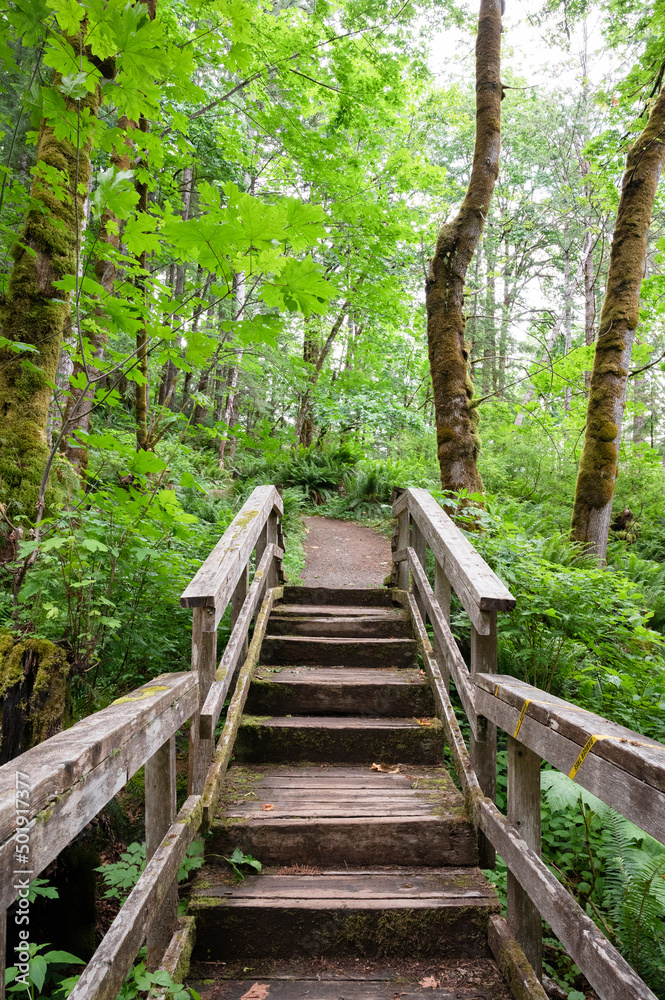 A boardwalk and stairs in Elk Falls Provincial Park in Campbell River, Vancouver Island, British Columbia