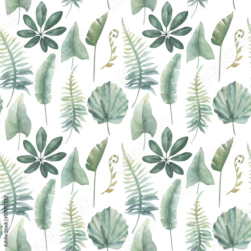 Watercolor exotic seamless pattern, jungle leaves, botanical summer illustration on white background
