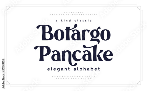 Classic lettering minimal fashion design. Elegant typography alphabet a to z and number. Vector illustration