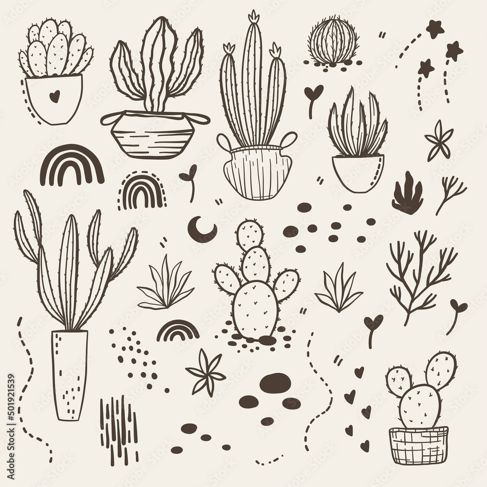 Vector boho cactus set. Plants in a flower pot and succulents. Moon and star. Warm color illustration.