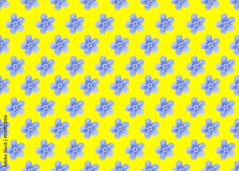 pale blue flowers Veronica Beccabunga pattern on a yellow background