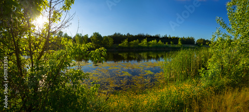 quiet summer river with forest on coast in light of sun, summer outdoor landscape © Yuriy Kulik