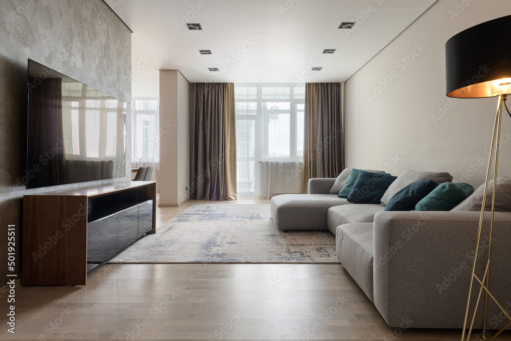 modern living room with gray sofa and big TV