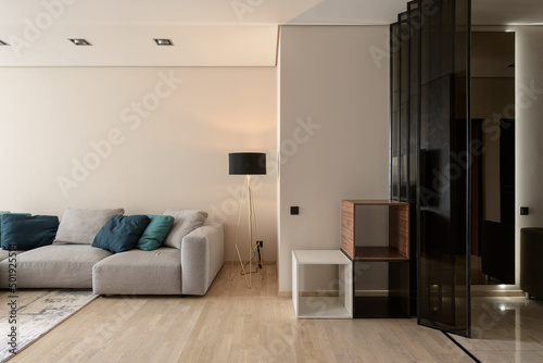 modern living room with gray sofa