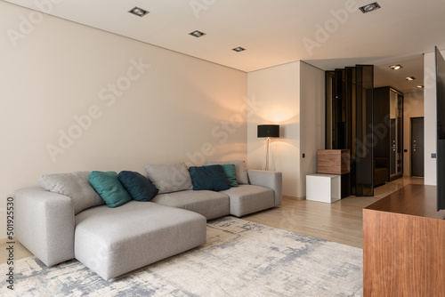 big gray sofa in a modern apartment  living room interior