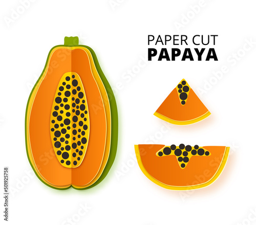 Set of papaya fruit sliced whole in a paper cut style. Papaya slices and paper slices. Vector paper cut poster, banner, design template. Origami art. Vector illustration isolated on white background