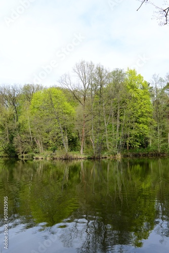 forest lake against the backdrop of forest and sky