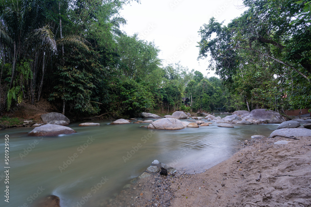 Obraz premium River rapids on forest background
