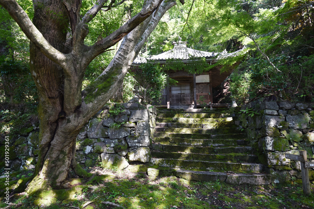 金蔵寺　開山堂　京都市西京区大原野