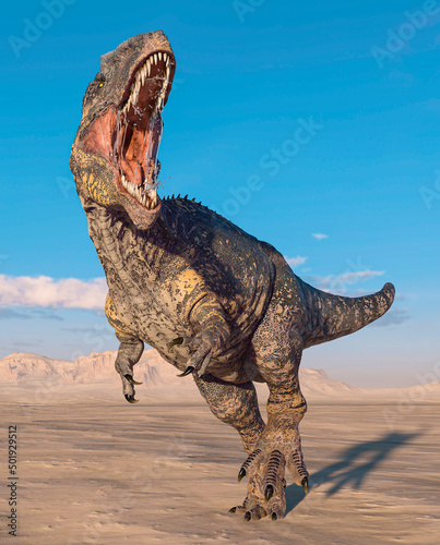 giganotosaurus is hunting down on sunset desert