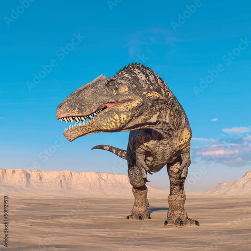 giganotosaurus is looking for some food on sunset desert
