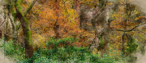 Digital watercolour painting of Stunning epic colorful Autumn landscape image of Dodd Woods in Lake District