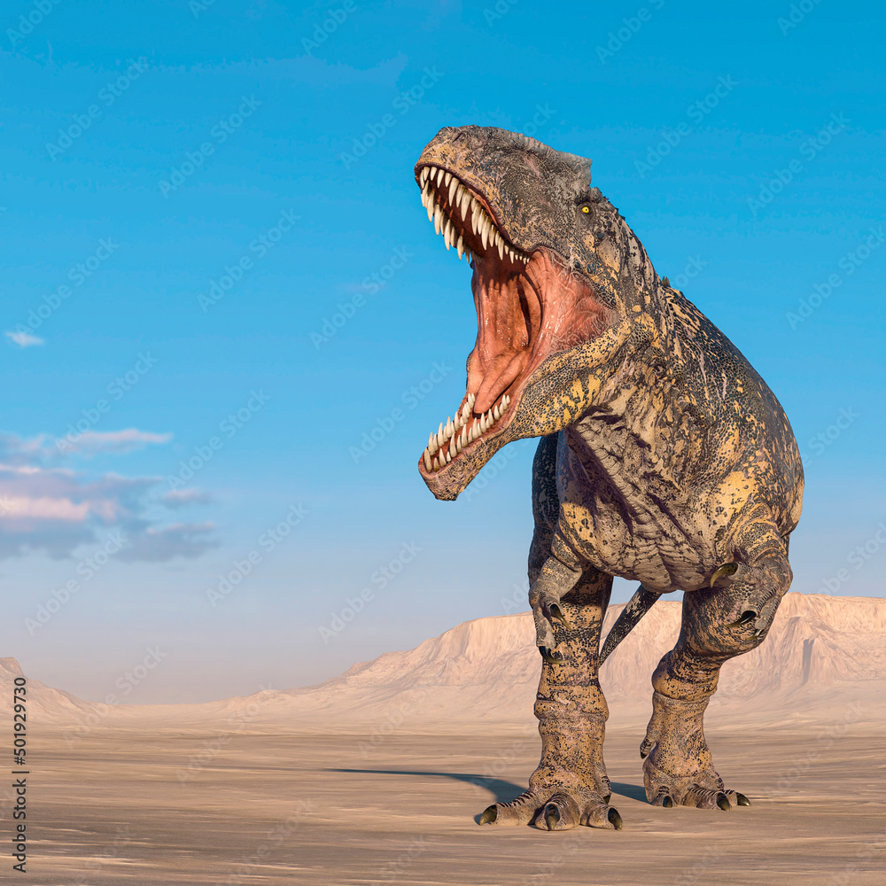 giganotosaurus is angry with the  jaws wide open on sunset desert