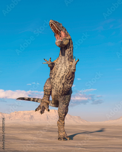 giganotosaurus is very aggressive on sunset desert © DM7