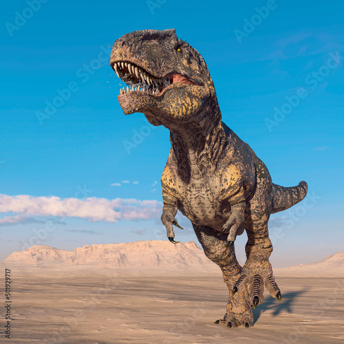giganotosaurus is walking like a king on sunset desert © DM7