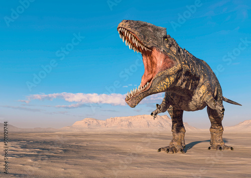 giganotosaurus is doing a intimidating pose on sunset desert with copy space © DM7