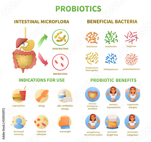 Probiotics Infographics Cartoon Set