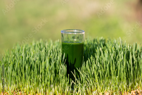 Healthy organic green detox juice from grass of green germinated wheat grains, close up photo