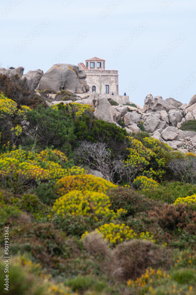 Capo Testa sardinia italy april 2022 Capo Testa sardinia italy april 2022