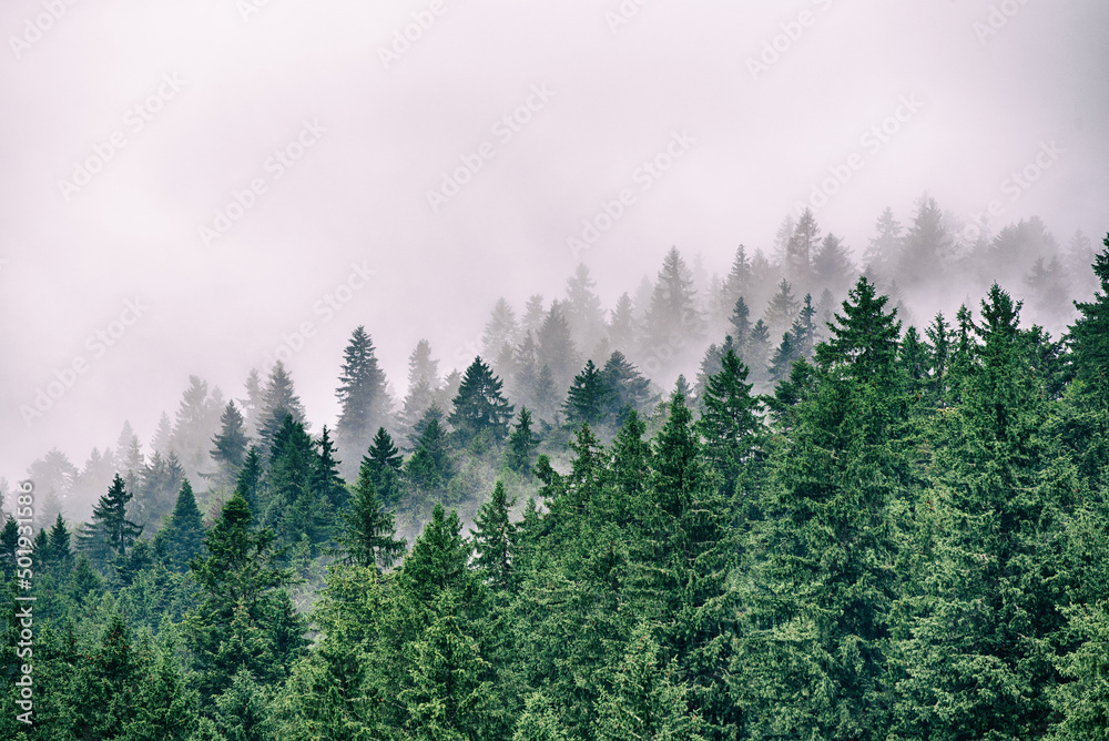 Fototapeta premium Misty mountain landscape