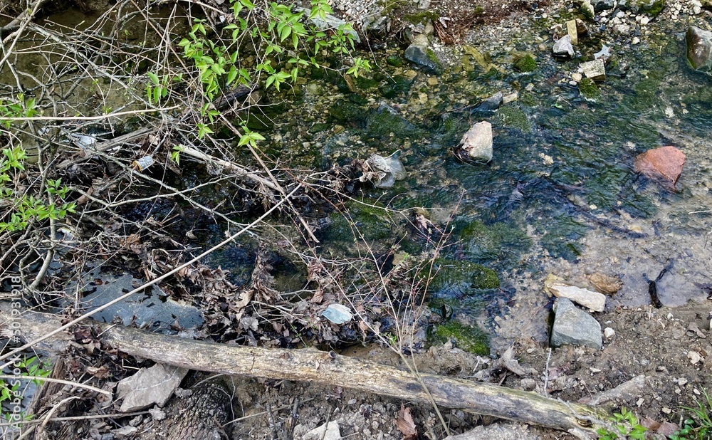 discarded medical face mask in stream discarded medical face mask in stream
