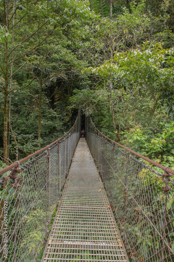 Hanging bridge in a Costa rican rainforest. Hanging bridge in a Costa rican rainforest.