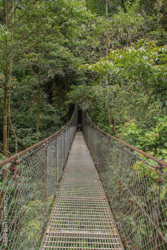 Fototapeta Naklejka Na Ścianę i Meble -  Hanging bridge in a Costa rican rainforest.