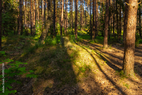 A burial ground near Wesiory village, Poland.