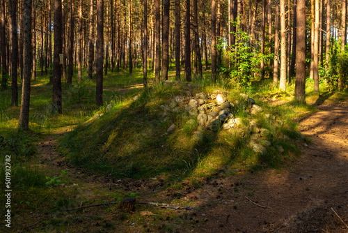 A burial ground near Wesiory village, Poland. © Tomasz Wozniak