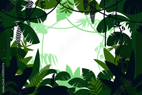 Colored Jungle Frame