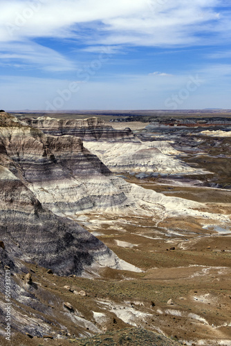 Arizona Petrified Forest - Blue Mesa Ridge