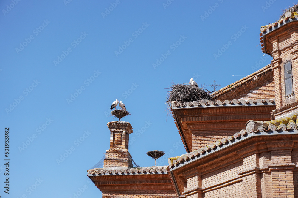 Storks with nests over church roof and towers. Alfaro (Spain) in Europe has the biggest community of white storks in the world.