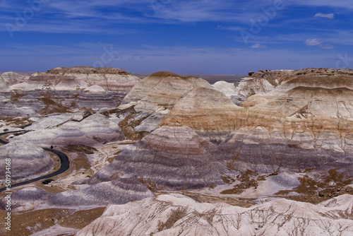 Arizona Petrified Forest - The Tepees