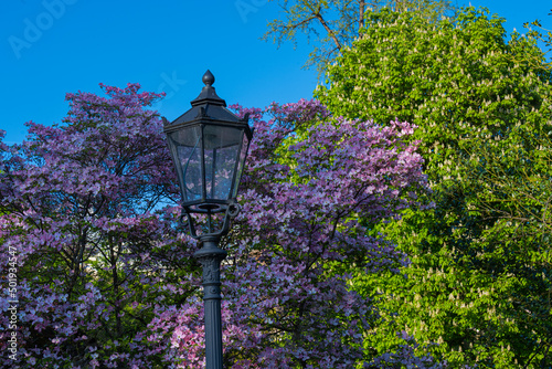 Romantic lanterns in the spa gardens of Baden Baden. Baden Wuerttemberg, Germany, Europe photo