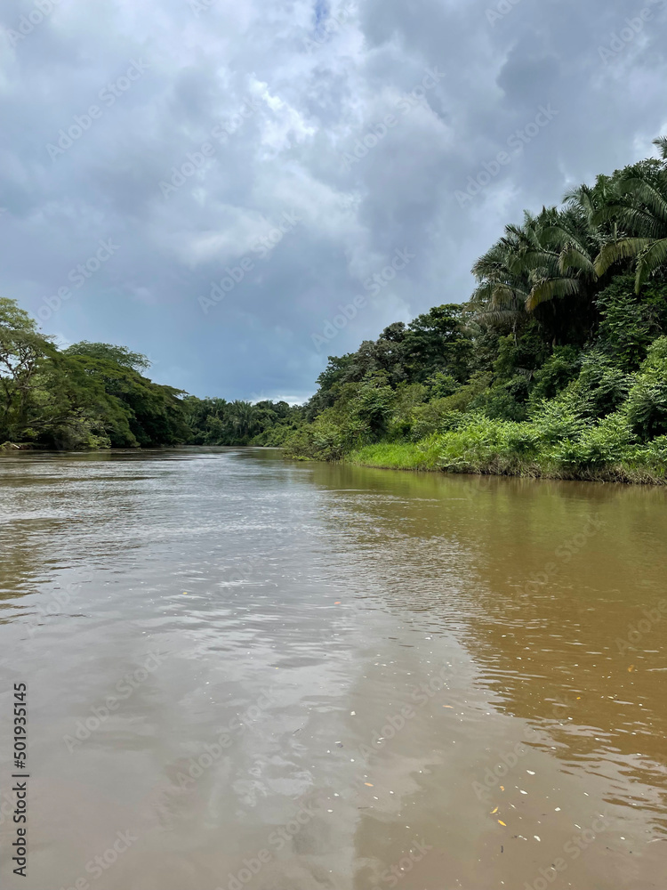 Caño Negro Wildlife Refuge, where you can observe birds and animals in Costa Rica.