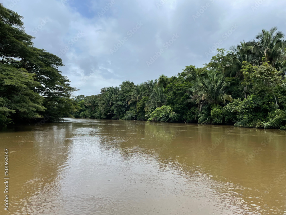 Caño Negro Wildlife Refuge, where you can observe birds and animals in Costa Rica. Caño Negro Wildlife Refuge, where you can observe birds and animals in Costa Rica.