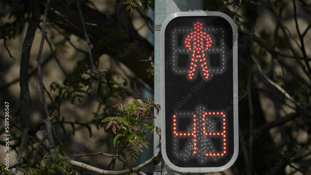 Close-up pedestrian crossing traffic lights, red traffic light turning green. Green light to pedestrians. City streets in the daytime. 4k