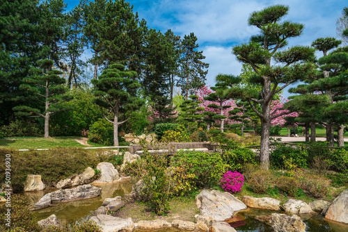  Japanese garden in Nordpark  Dusseldorf  Germany
