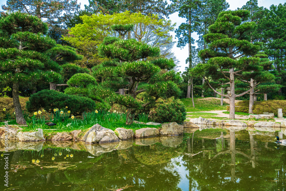 Idyllic landscape of Japanese garden. Traditional japanese stone garden for meditation Idyllic landscape of Japanese garden. Traditional japanese stone garden for meditation